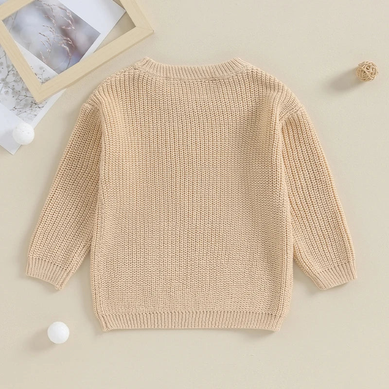 2023-09-18 Lioraitiin 0-18M Baby Boys Sweater Letter Embroidery