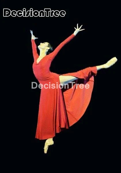 2023 ballroom waltz modern dance dress ballet dance