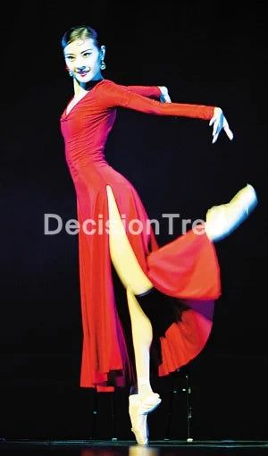 2023 ballroom waltz modern dance dress ballet dance