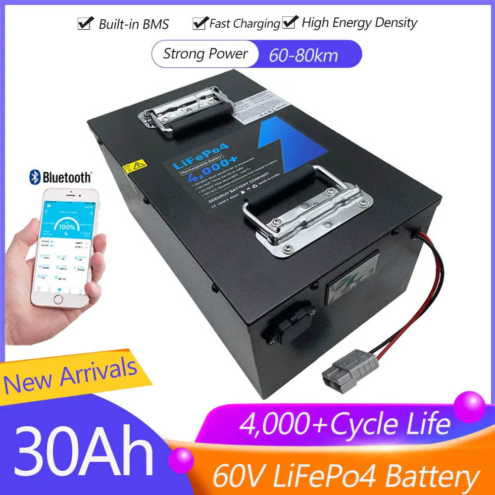 60V 30Ah Lifepo4 Battery with BMS for Electric