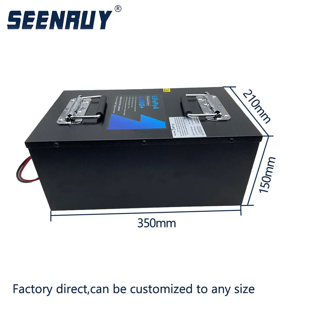 60V 30Ah Lifepo4 Battery with BMS for Electric
