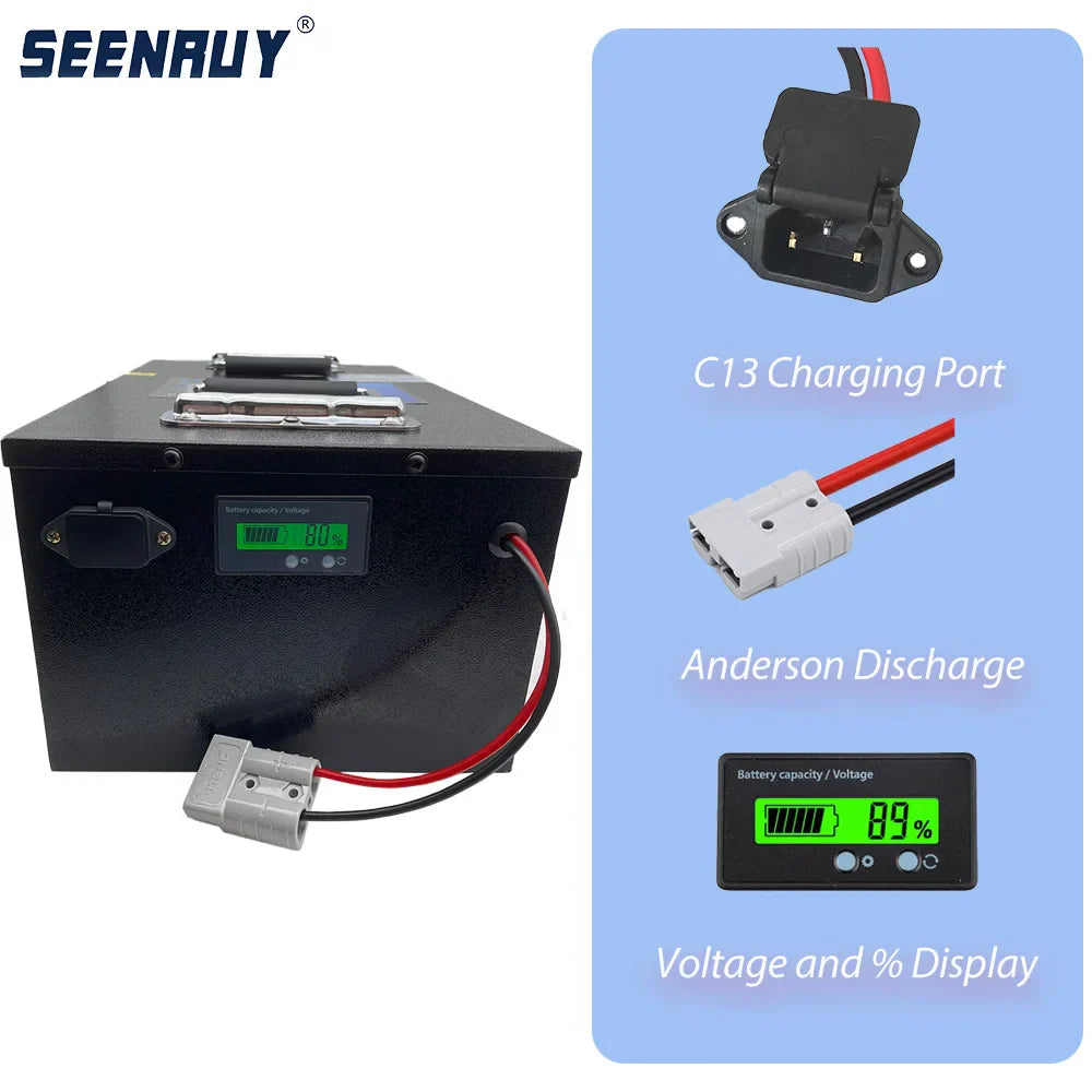 60V 30Ah Lifepo4 Battery with BMS for Electric