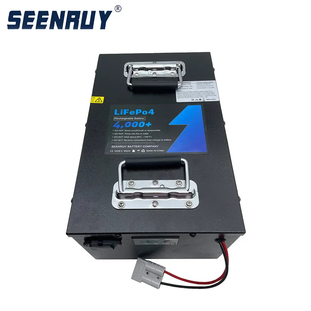 60V 30Ah Lifepo4 Battery with BMS for Electric