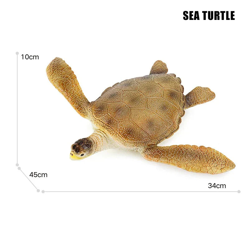 Big Marine Life Animals Humpback Dolphin Killer Blue