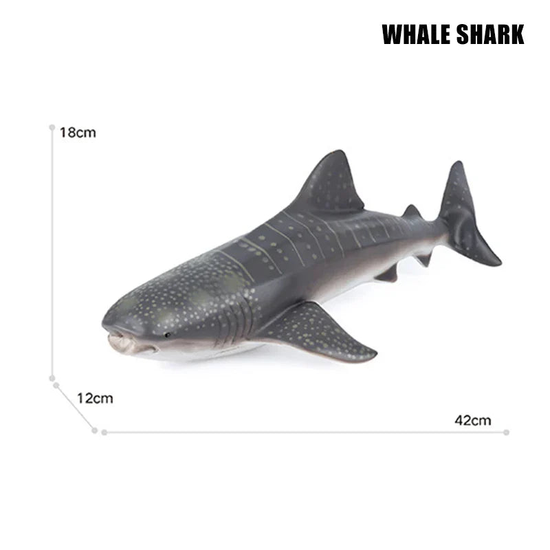 Big Marine Life Animals Humpback Dolphin Killer Blue