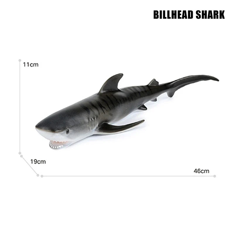 Big Marine Life Animals Humpback Dolphin Killer Blue