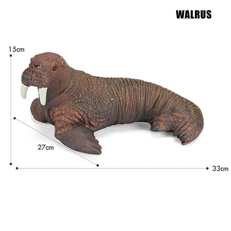 Big Marine Life Animals Humpback Dolphin Killer Blue