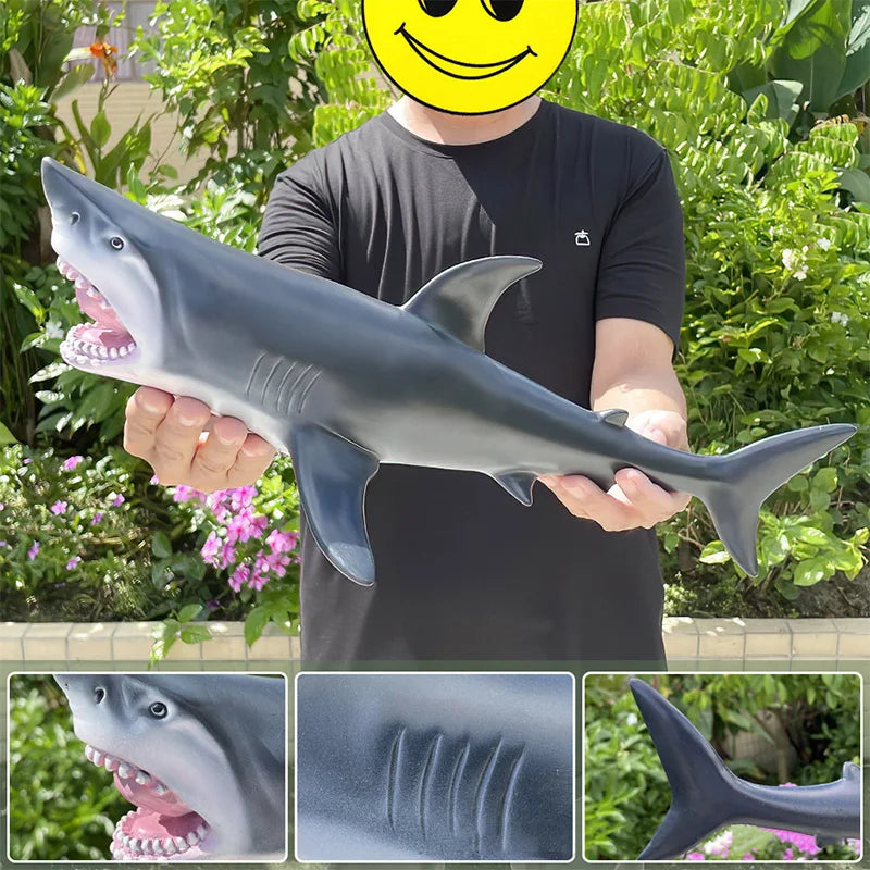 Big Marine Life Animals Humpback Dolphin Killer Blue