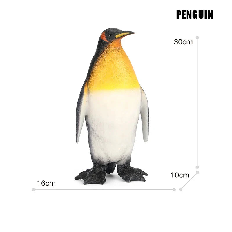 Big Marine Life Animals Humpback Dolphin Killer Blue