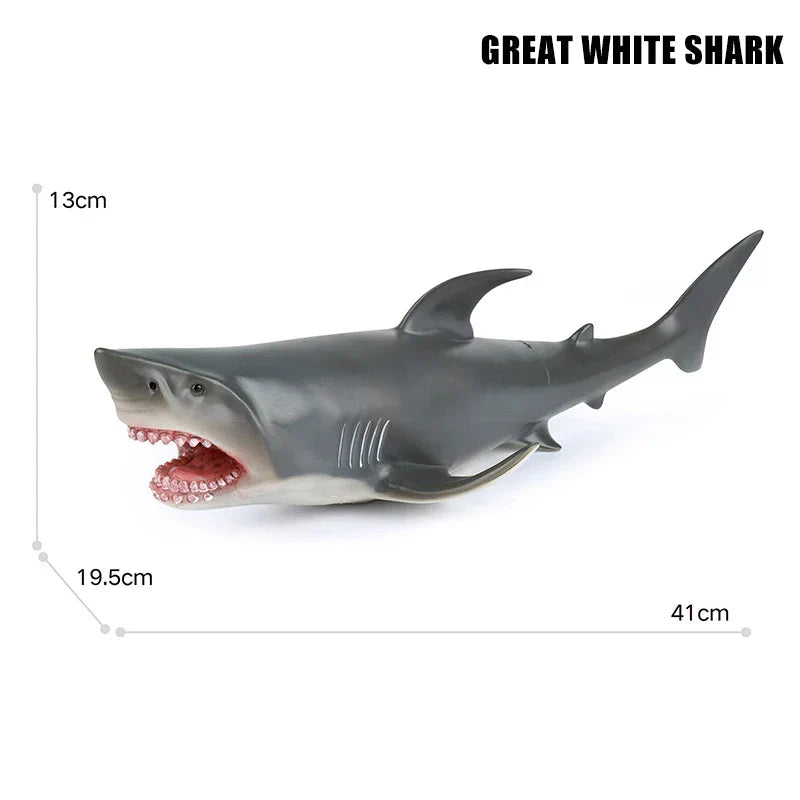 Big Marine Life Animals Humpback Dolphin Killer Blue