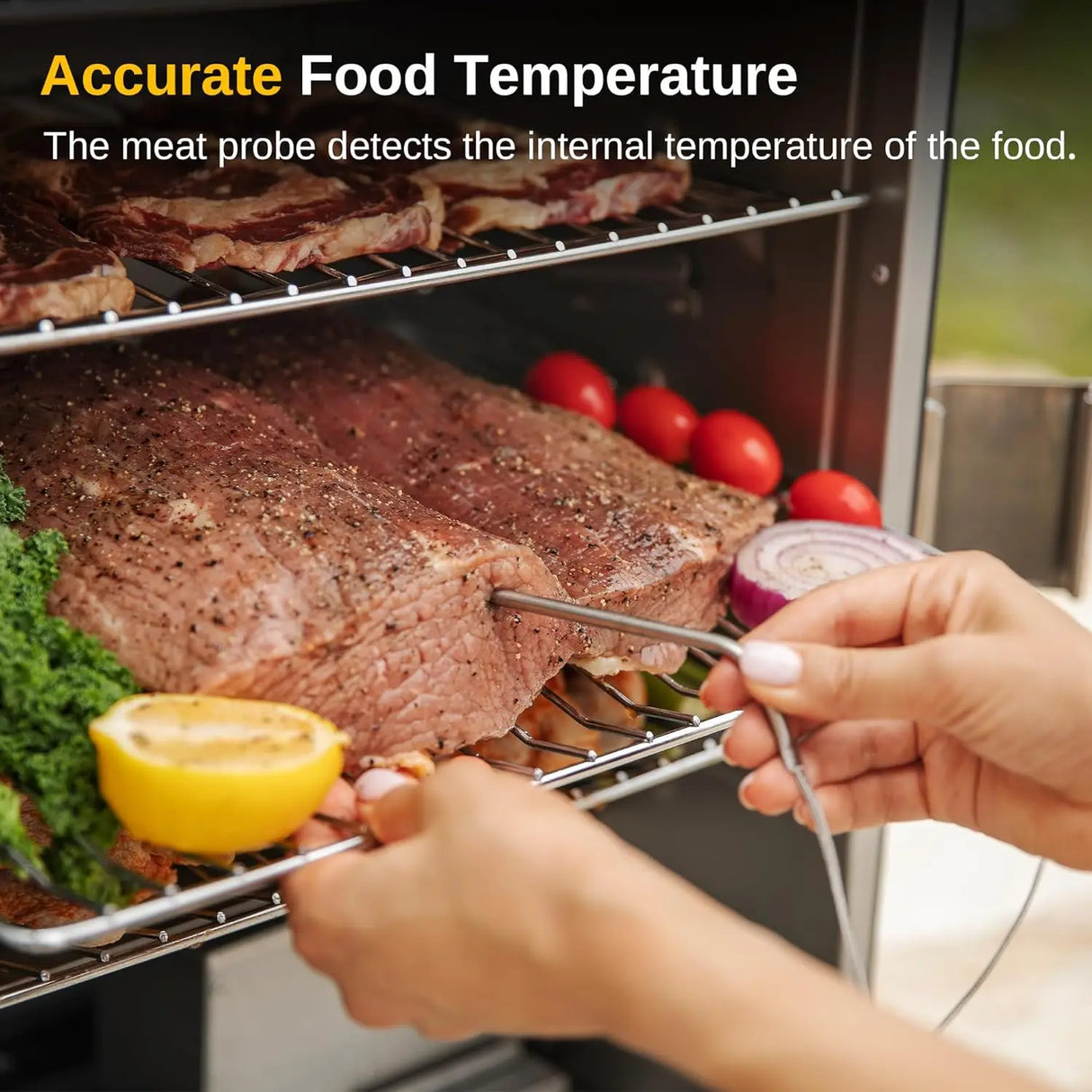 EAST OAK 30" Digital Electric Smoker with Glass