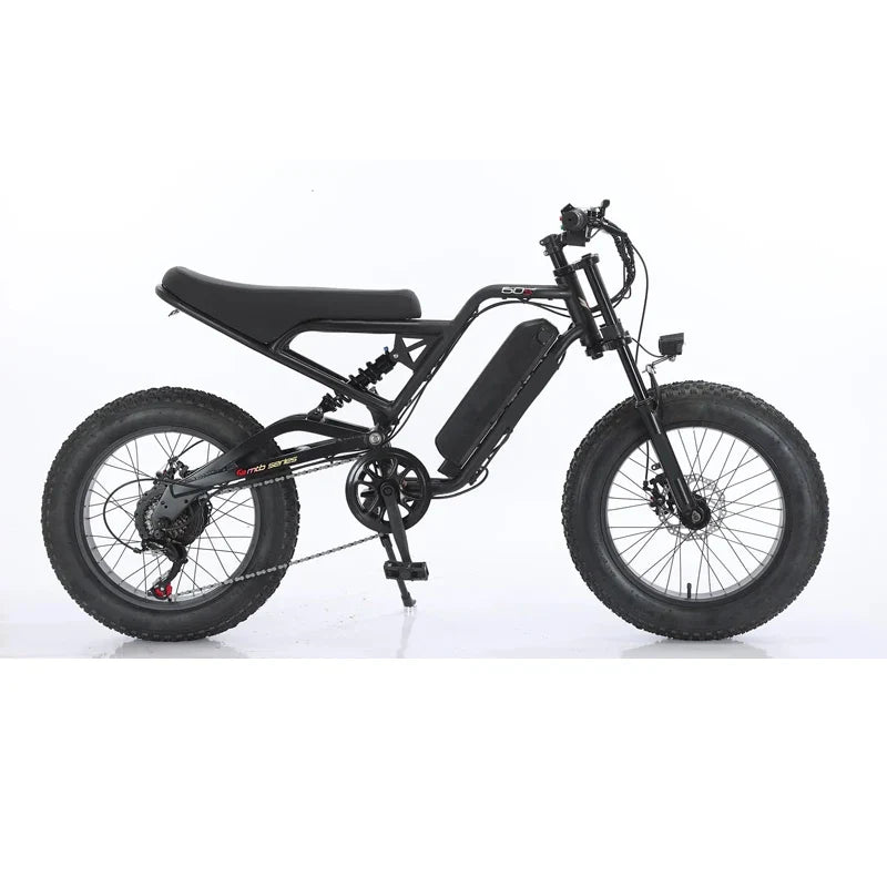 FEIVOS W2 1000W48V Snow tire electric bicycle Fat