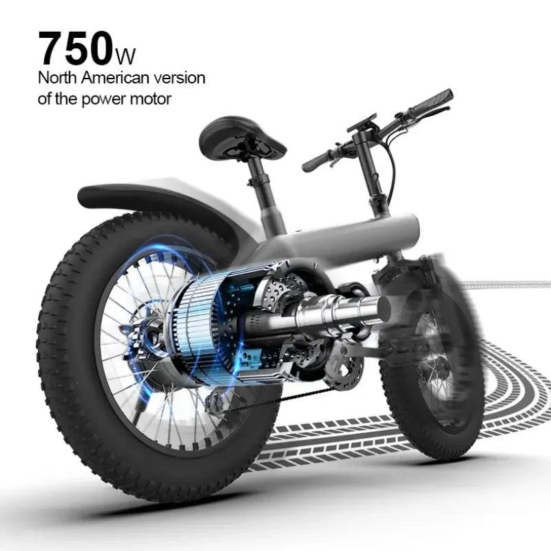 Fat Tire Ebike 20 Inch 7 Speed Mountain
