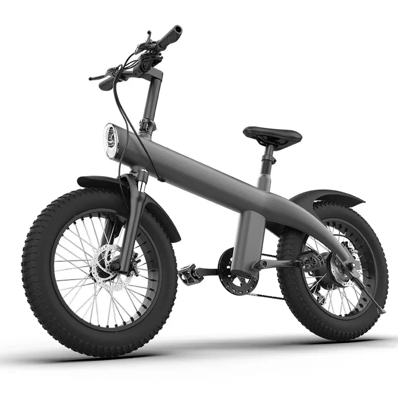 Fat Tire Ebike 20 Inch 7 Speed Mountain