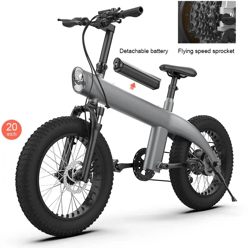 Fat Tire Ebike 20 Inch 7 Speed Mountain