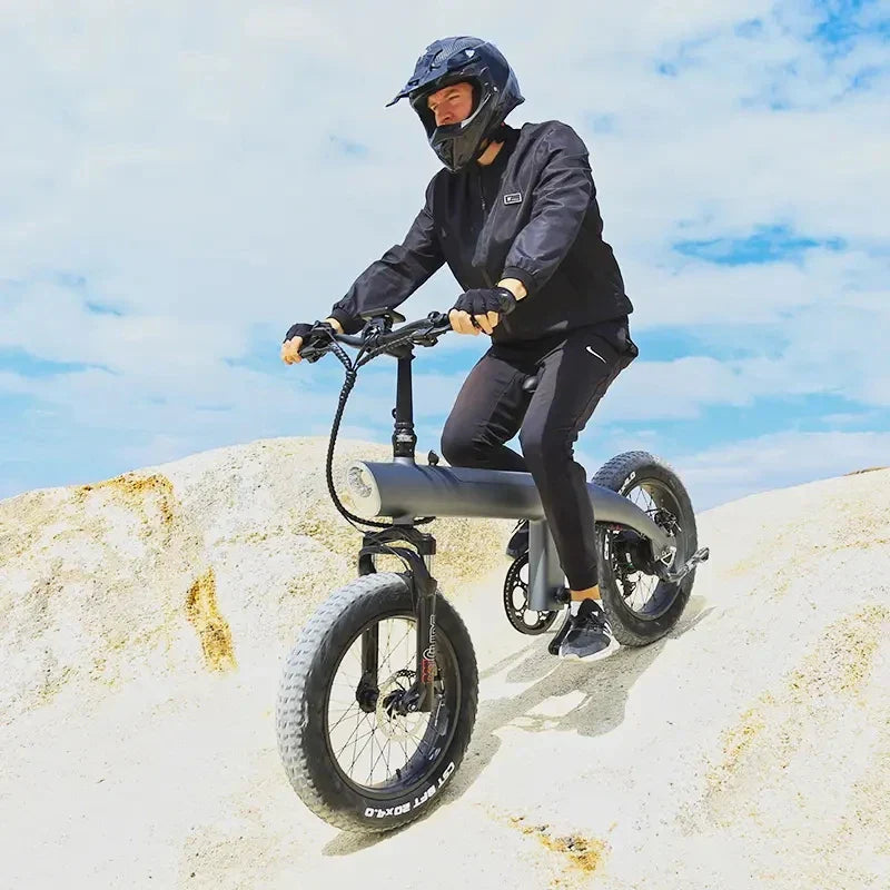 Fat Tire Ebike 20 Inch 7 Speed Mountain