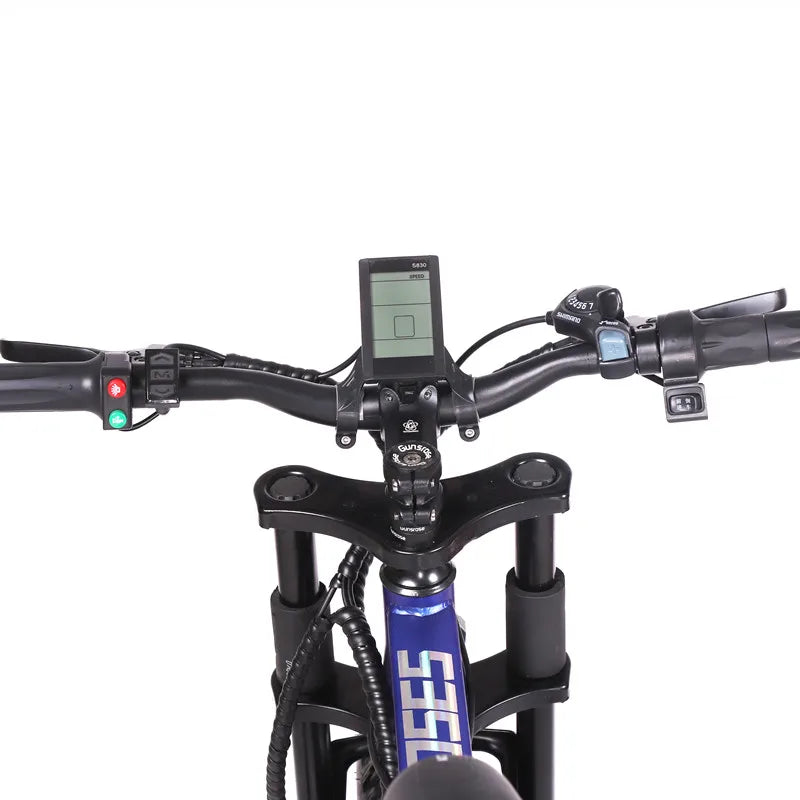 Fat bicycle electric bicycle 2000W * 2 front