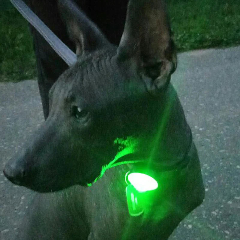 Truelove Pet Safety Flashing Dog Led Light Dog