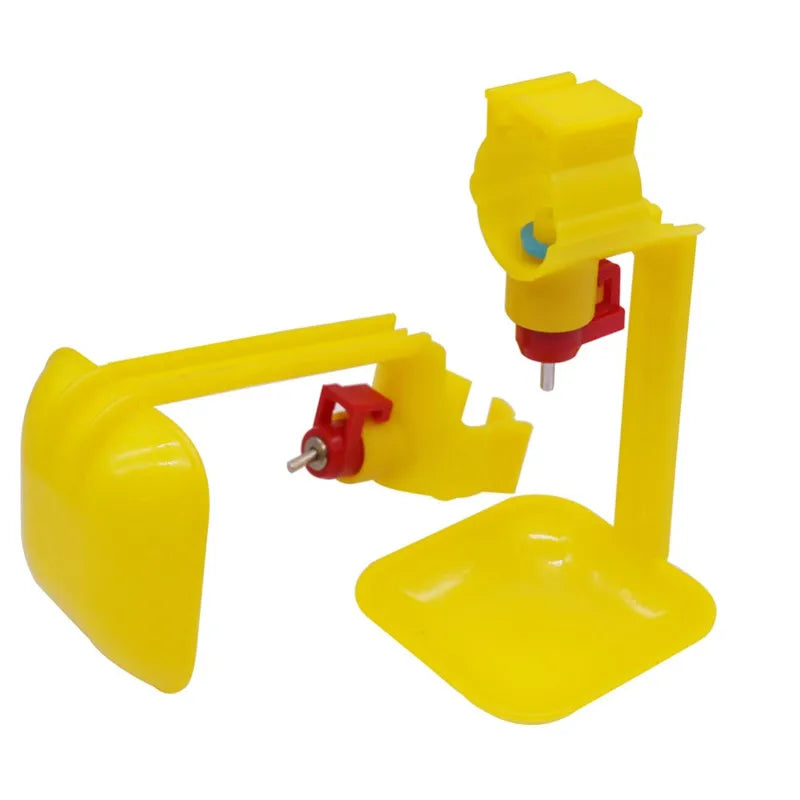 50 Pcs Chicken With Automatic Nipple Type Drinking