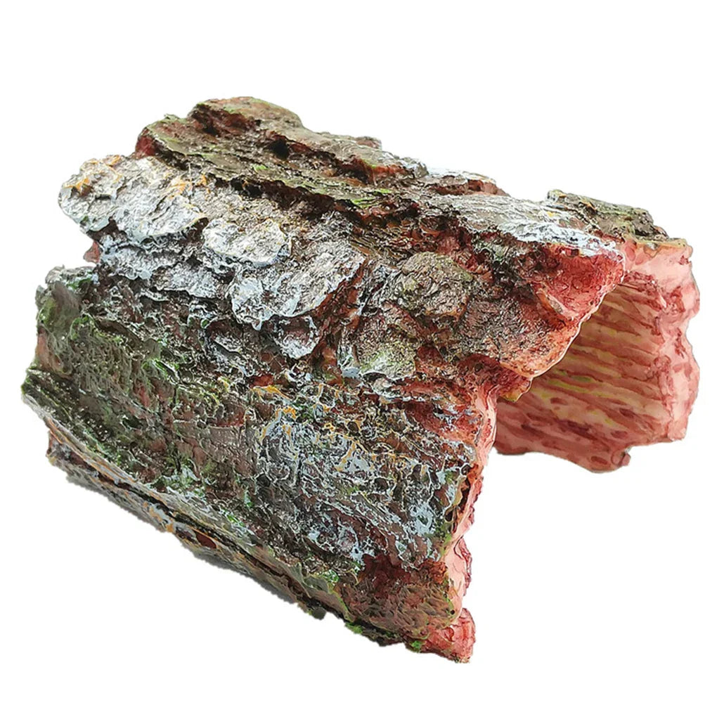 Turtle Reptile Hide Cave Reptiles Avoiding Caves Simulation