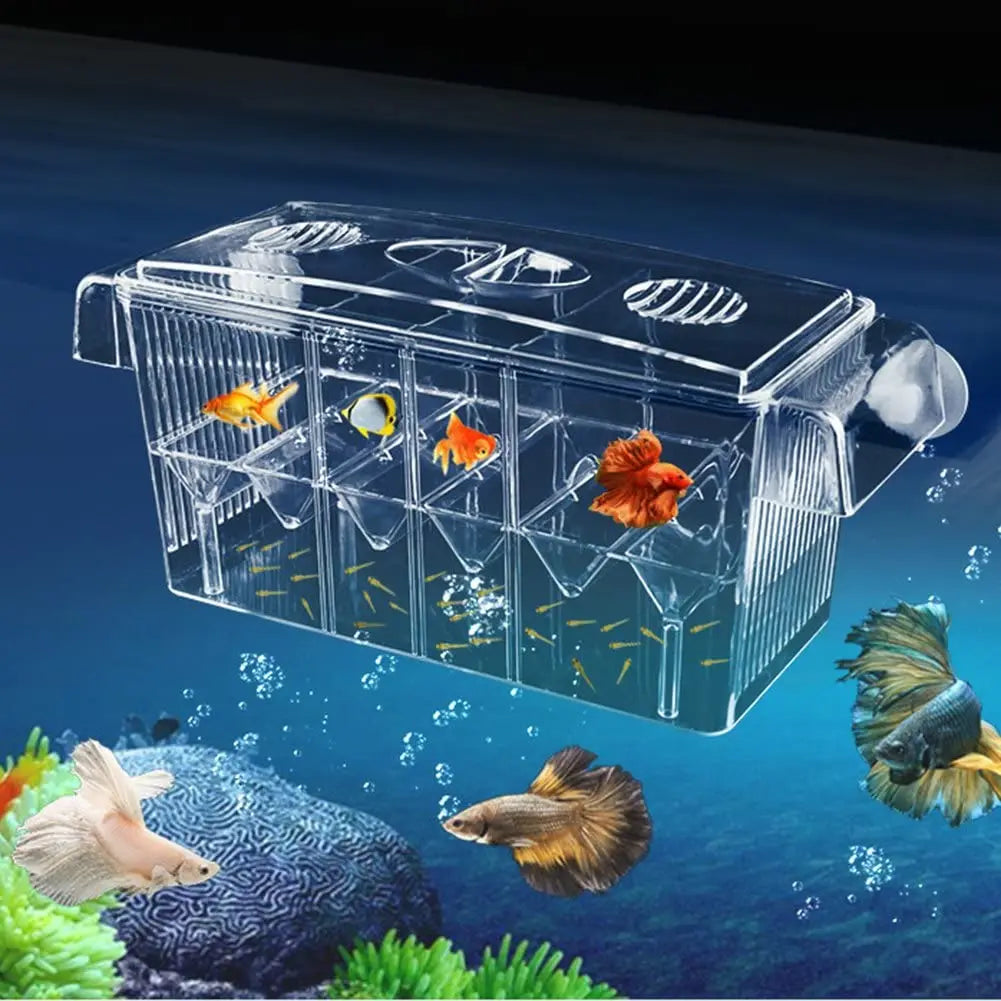 Aquarium Breeding Incubator Isolation Box Double Layer 4