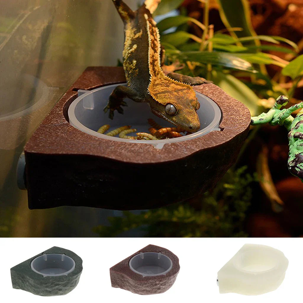2pcs Mini Magnet Gecko Feeder Ledge Reptile Terrarium