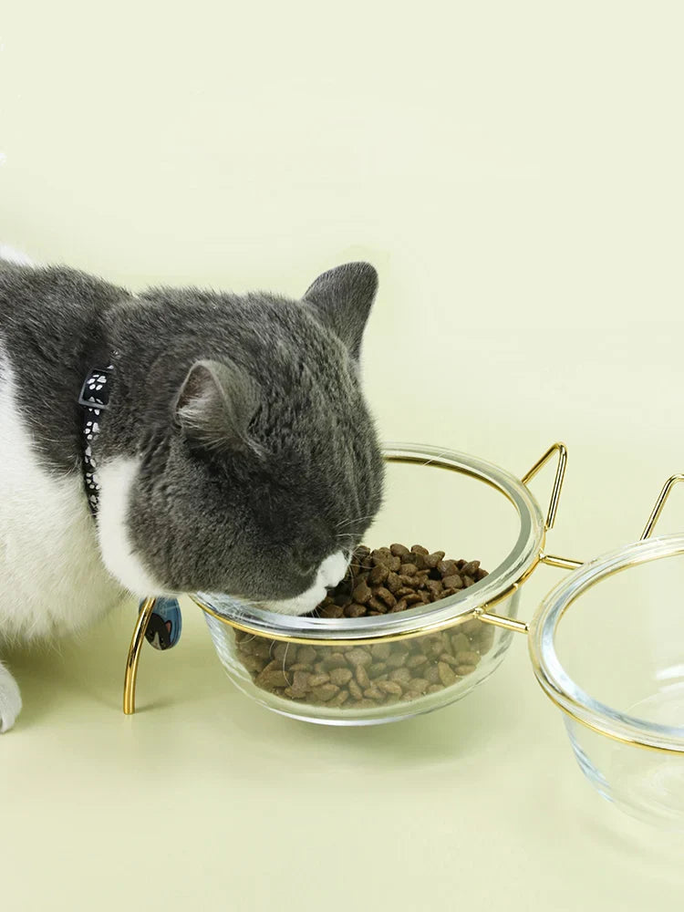 New Non-Slip Glass Double Cat Dog Pet Bowl
