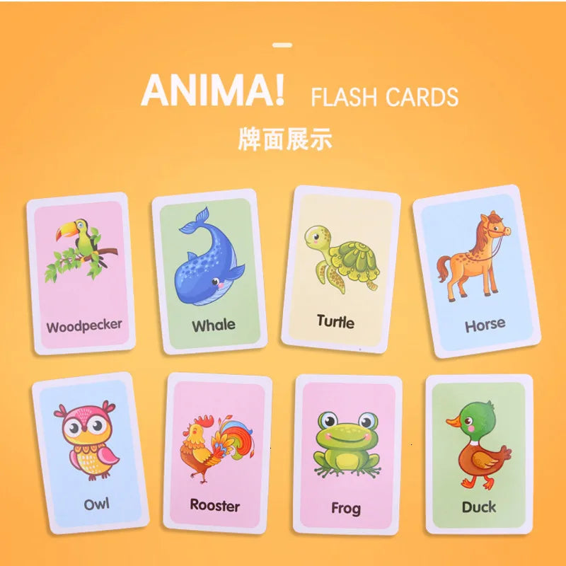 36Pcs Kids Cognition Card Shape Animal Color Teaching