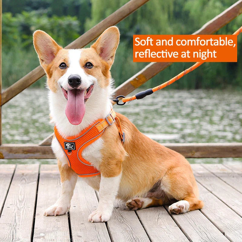 Reflective Vest Harness Leash Adjustable Mesh Vest Dog