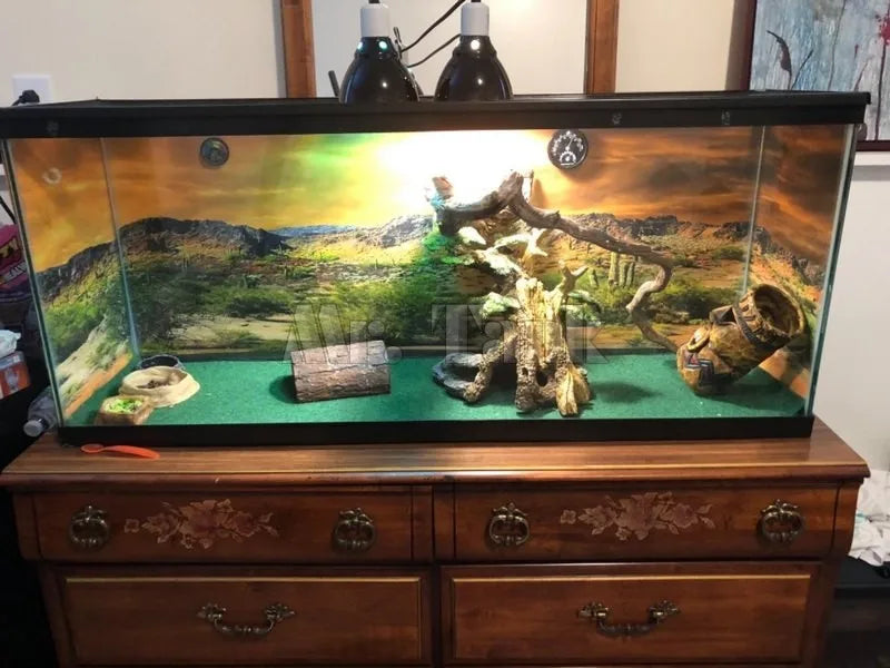 Mr.Tank Reptile Habitat Background Poster HD Desert View
