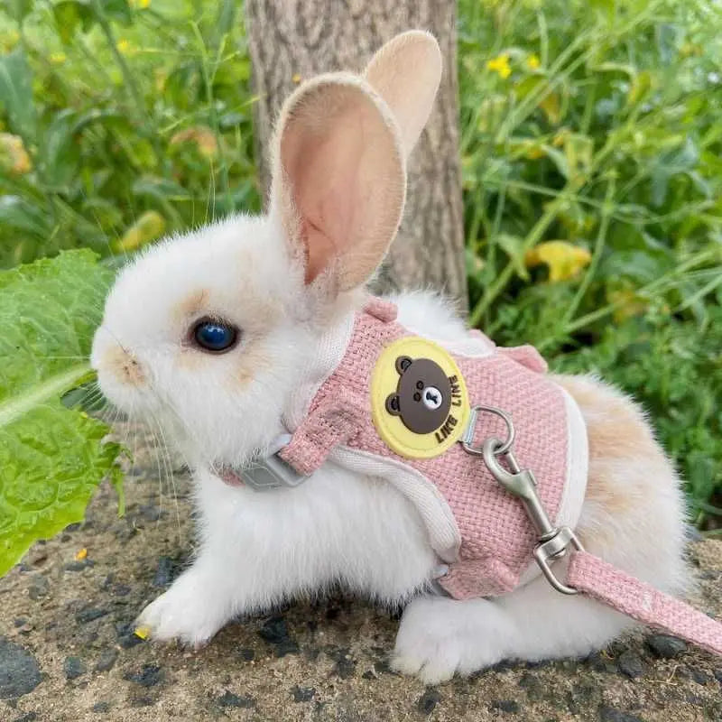 Rabbits Accessories Bunny Collar Animal Harness Cat Leash