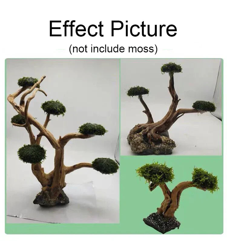 Aquarium Moss Tree Driftwood Fish Tank Landscaping Water