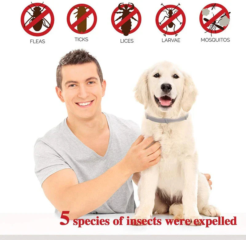 Benepaw Effective Pet Flea Collar 8 Months Protection