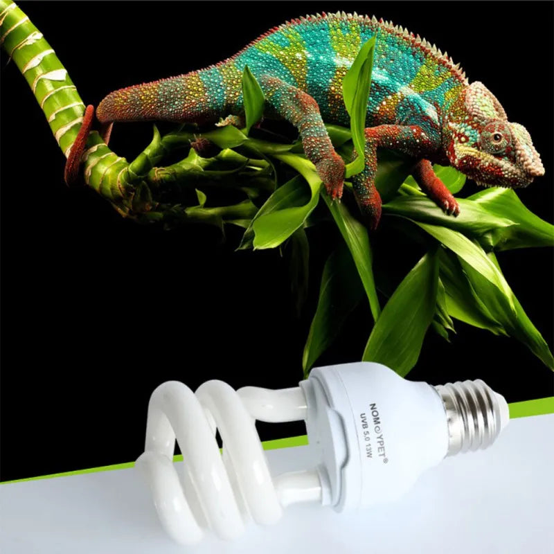 UV Glow Lamp Reptile Light Bulb Energy Saving