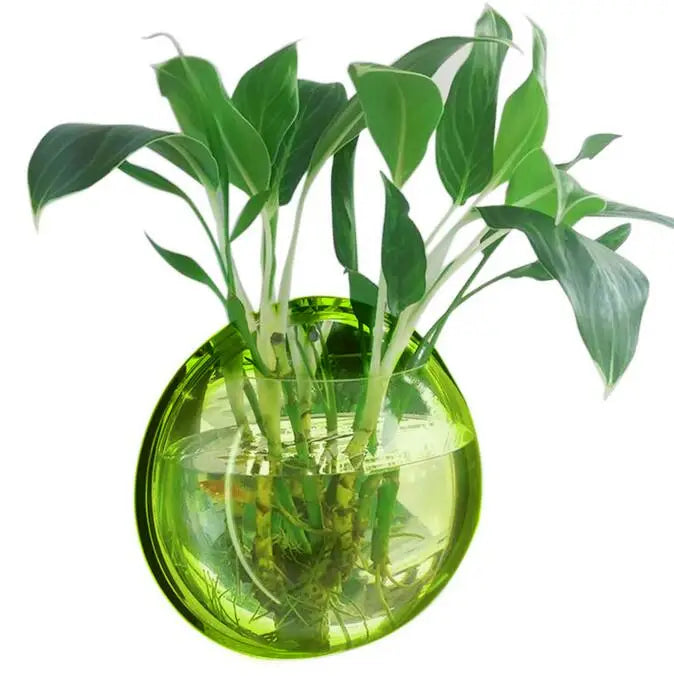 Behogar Dia 23cm/29.5cm Acrylic Fish Bowl Wall Mount