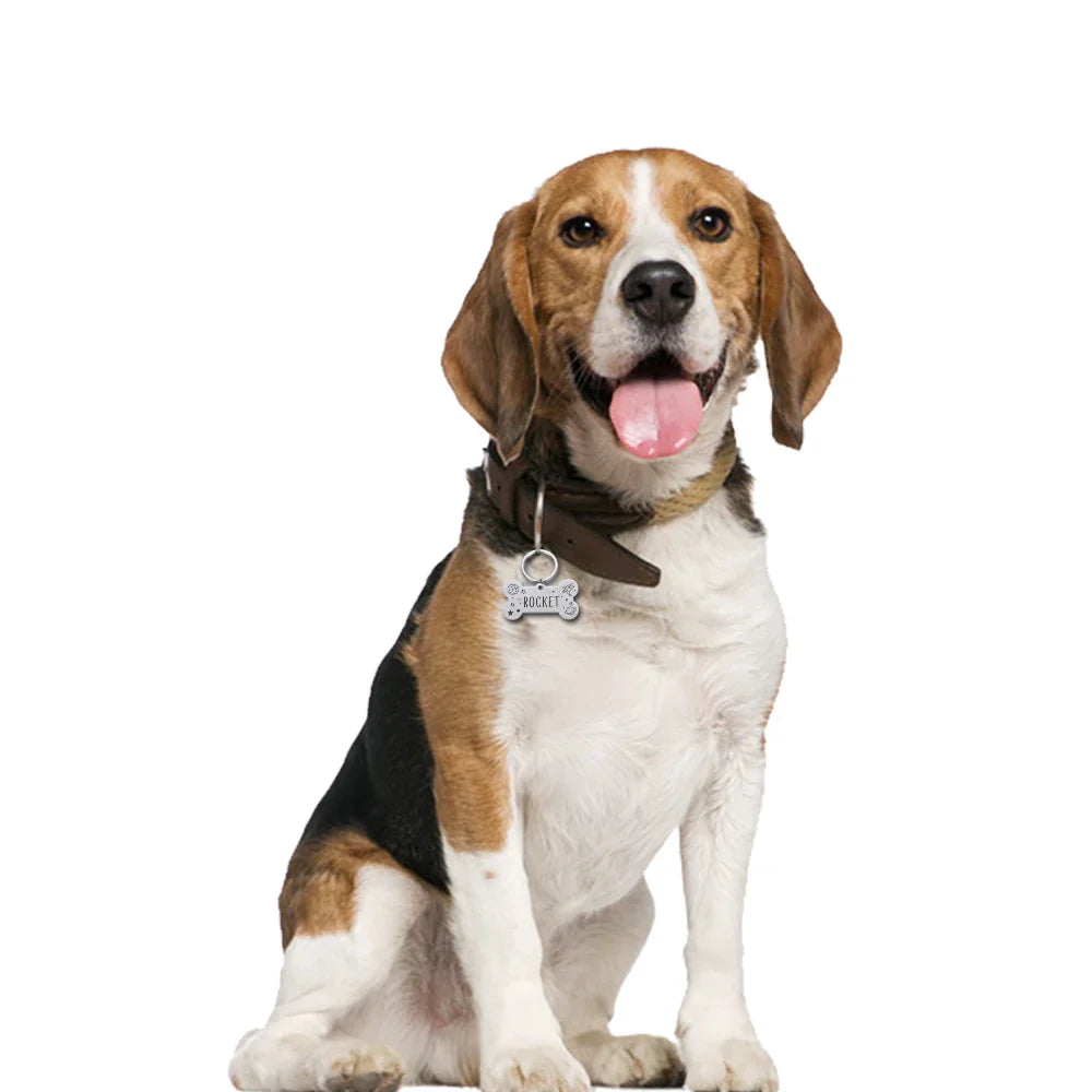 Custom Dog ID Tag Personalized Pet Name Address