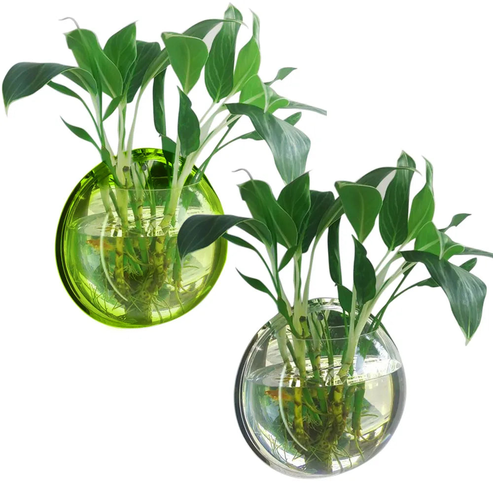 Behogar Dia 23cm/29.5cm Acrylic Fish Bowl Wall Mount