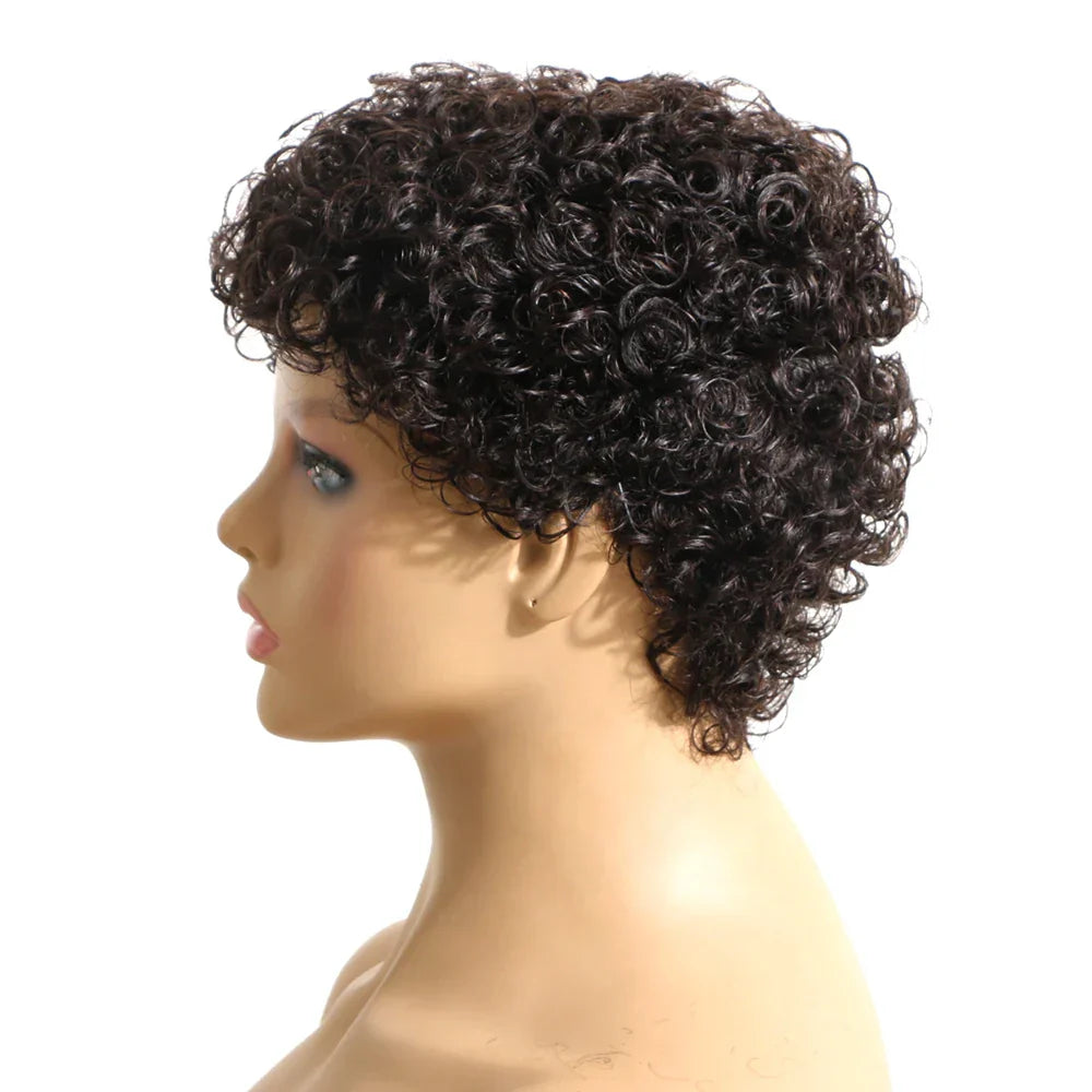100% Human Hair Short Jerry Curly Wig Afro