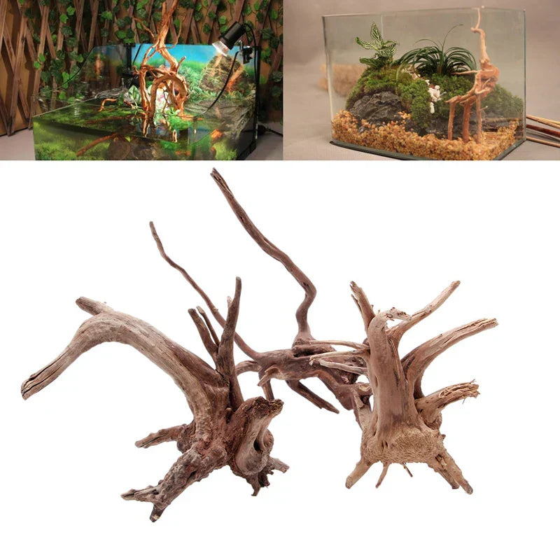 C5AC Wood Natural Trunk Driftwood Tree Aquarium Fish