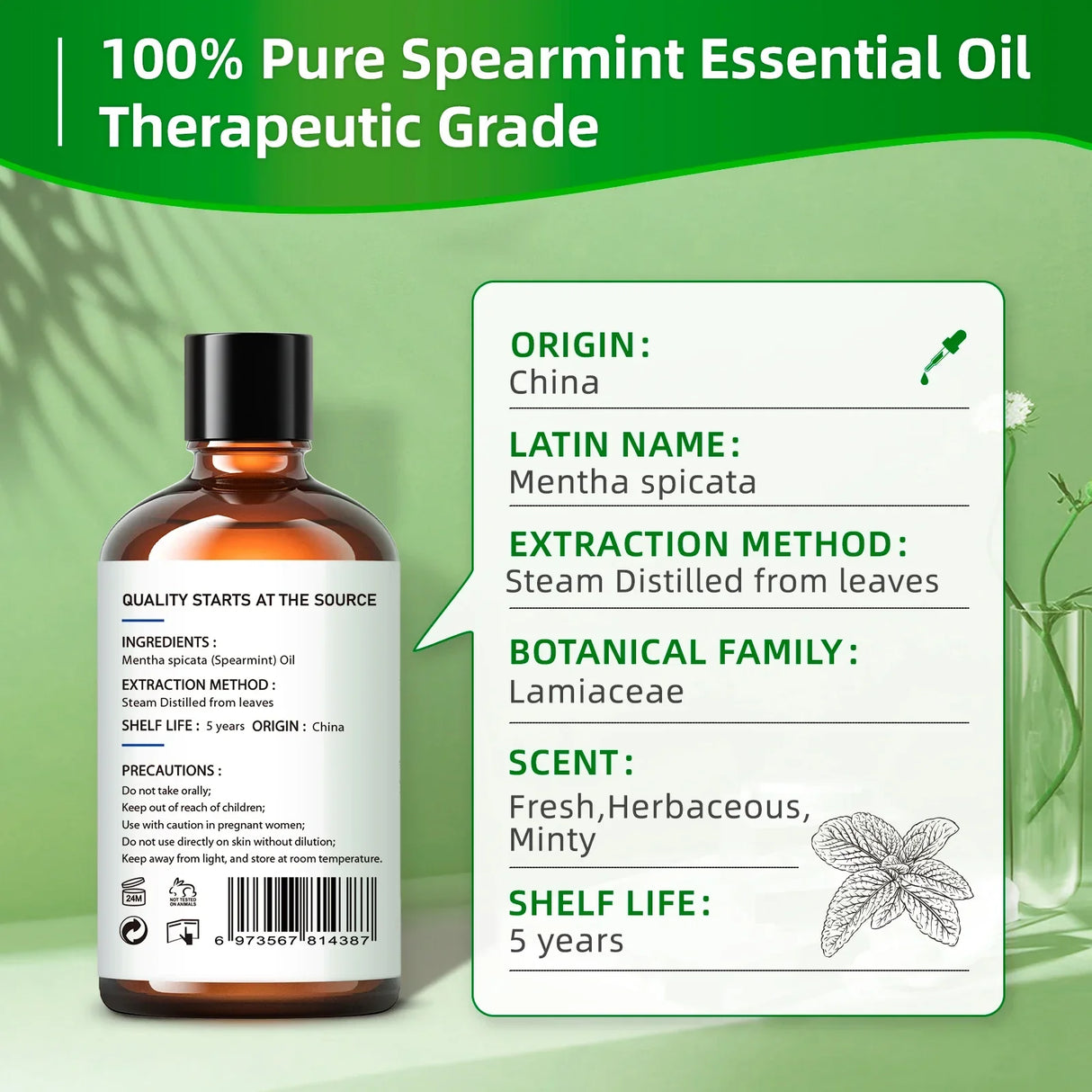 HIQILI Spearmint Vanilla Rose Cinnamon Lemon Essential Oils,100ML