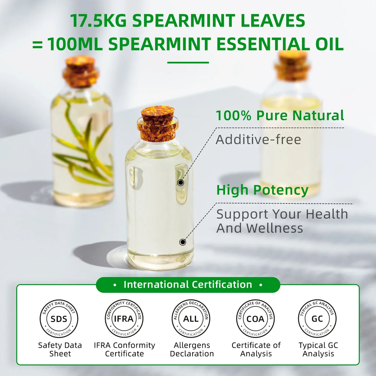 HIQILI Spearmint Vanilla Rose Cinnamon Lemon Essential Oils,100ML
