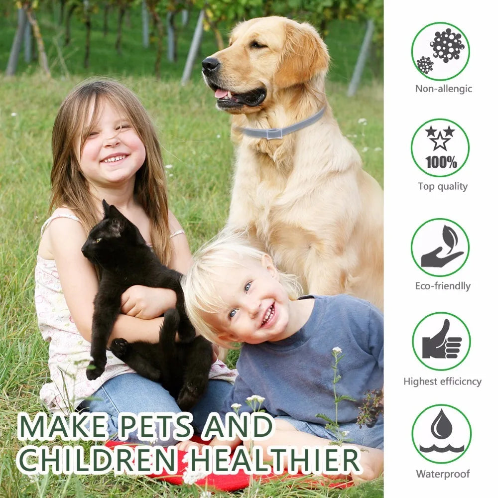 Benepaw Anti Tick Flea Collar Dog 8 Months