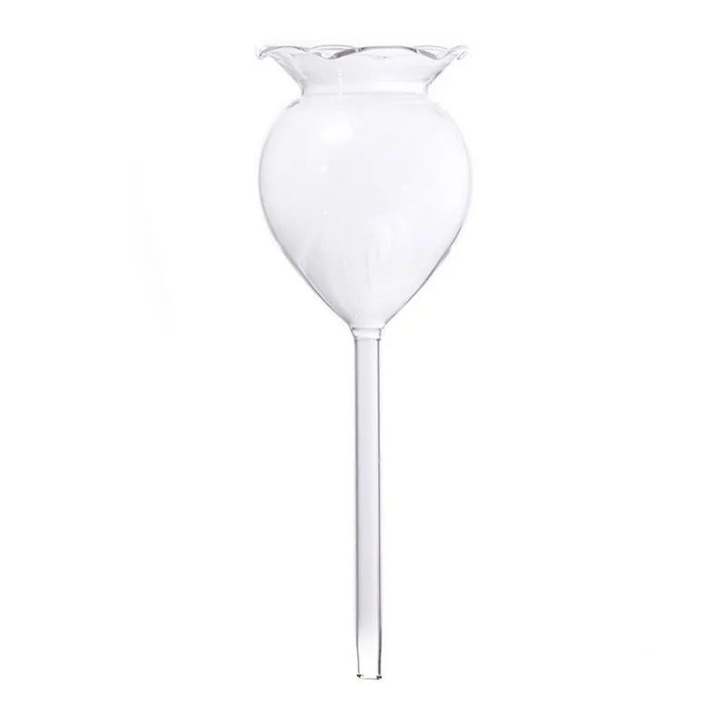 Houseplant Automatic Self Watering Glass Bird Watering Cans
