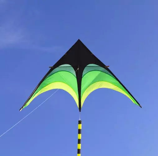 Free shipping large delta kites flying toys children
