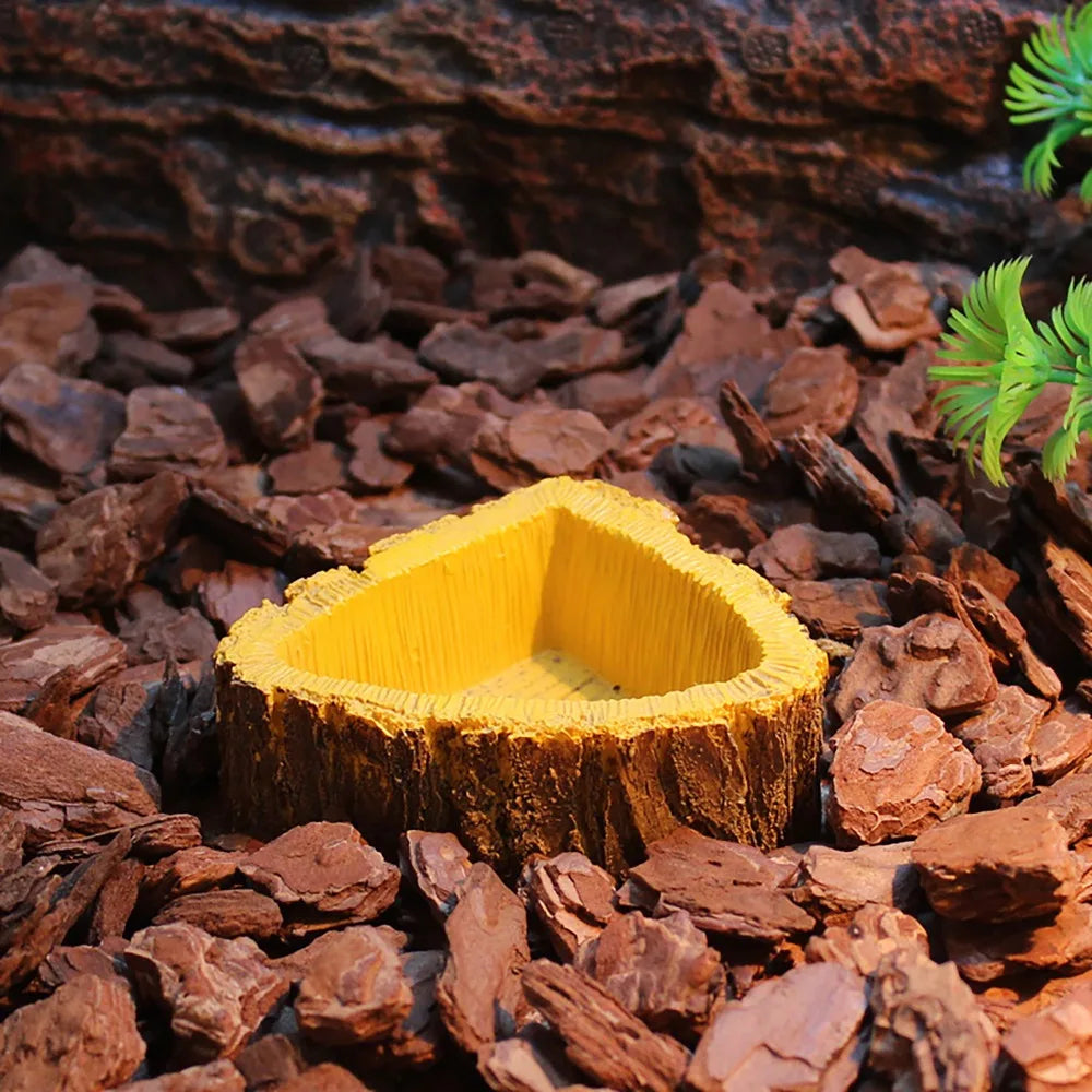 Resin Bowl Water Dish Water Bowl Feeding Tray