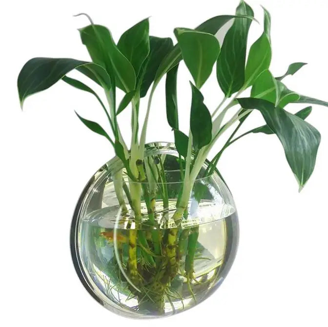 Behogar Dia 23cm/29.5cm Acrylic Fish Bowl Wall Mount