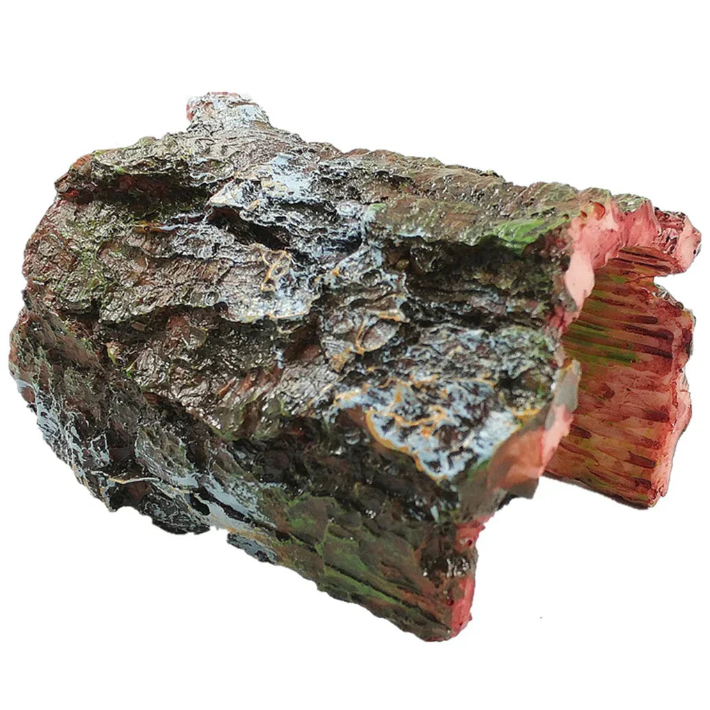 Turtle Reptile Hide Cave Reptiles Avoiding Caves Simulation