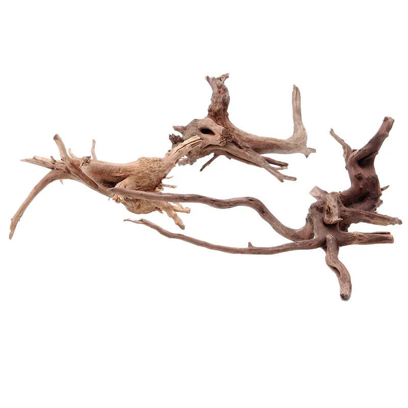 C5AC Wood Natural Trunk Driftwood Tree Aquarium Fish