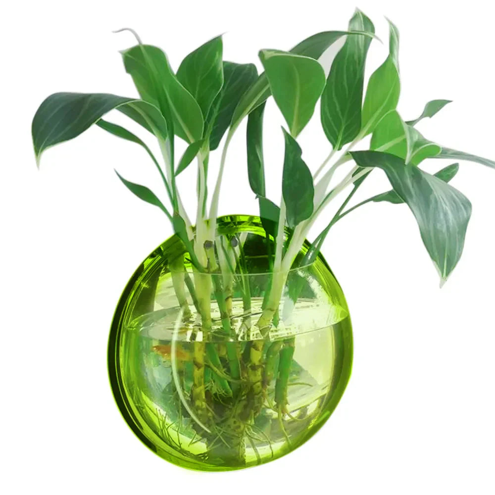 Behogar Dia 23cm/29.5cm Acrylic Fish Bowl Wall Mount