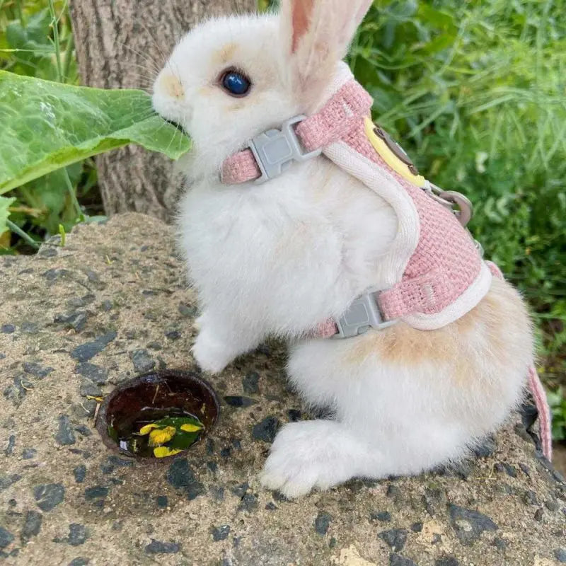 Rabbits Accessories Bunny Collar Animal Harness Cat Leash